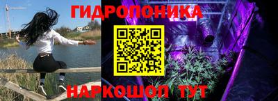 прущие крисы Ипатово