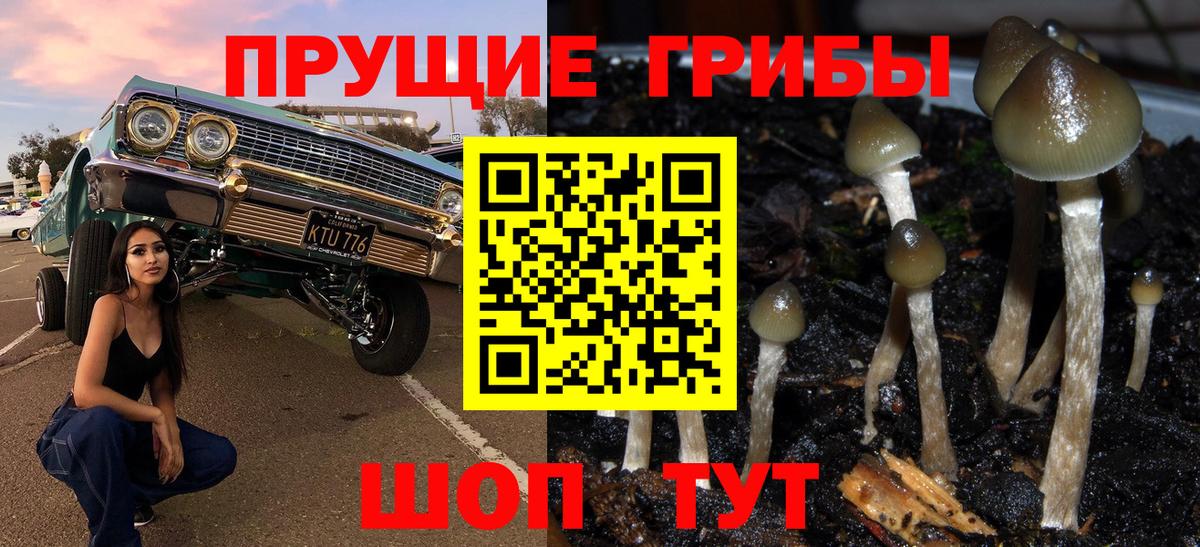Кулебаки  Псилоцибиновые грибы ЛСД  Вход с VPN 
