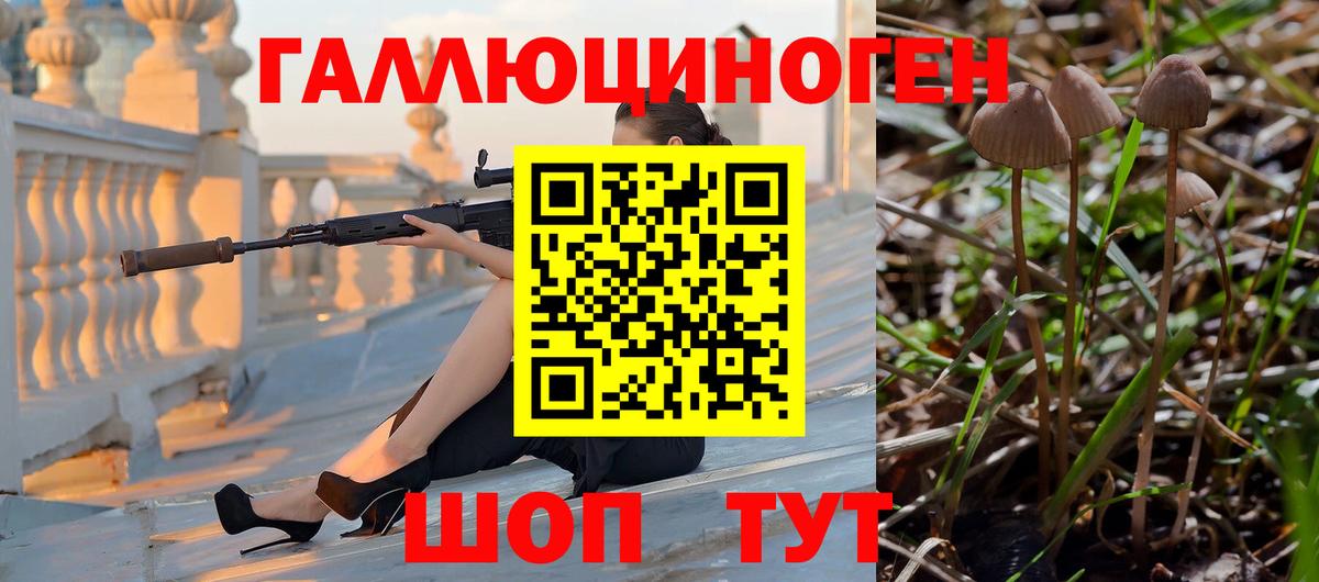 Псилоцибиновые грибы Psilocybine cubensis Кулебаки